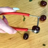 Косточковыдавливатель (ассортимент)