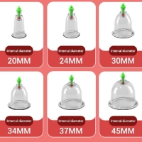 Электрический массажер-банки (цвет в ассортименте) Электрический массажер-банки (цвет в ассортименте)