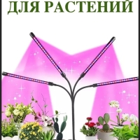 Фитолампа для выращивания растений 4 лампы Фитолампа для выращивания растений 4 лампы