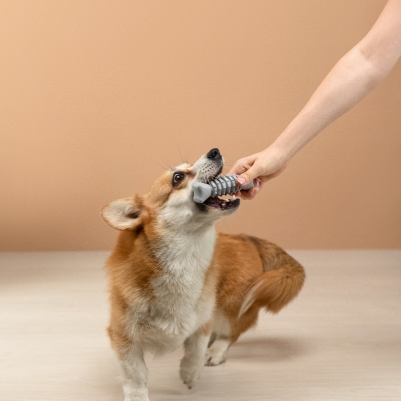 VETTA Игрушка для домашних животных, ТПР, 12,5 см