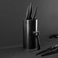 SATOSHI Карбон Набор ножей кухонных 6пр, в магнитной коробке SATOSHI Карбон Набор ножей кухонных 6пр, в магнитной коробке