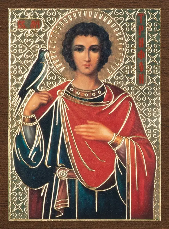 Икона "Трифон Апамейский" 4х6 на МДФ-6