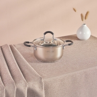 SATOSHI Альбер Кастрюля 18х10,5см, 2,5л, со стекл. крышкой, индукция