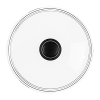 SATOSHI Крышка стеклянная безободковая с ручкой 24см