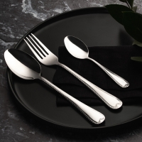 SATOSHI Эвора Ложка чайная 6 пр. на блистере