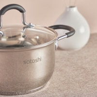 SATOSHI Альбер Кастрюля 18х10,5см, 2,5л, со стекл. крышкой, индукция