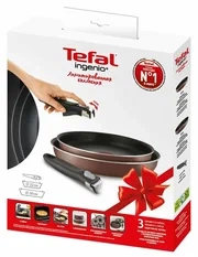 Набор посуды Tefal Ingenio Brown Handle 3 22/26см