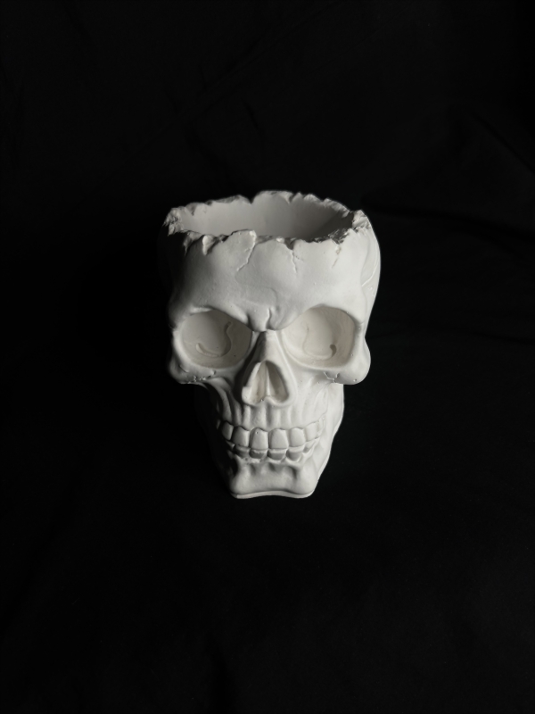 Кашпо Органайзер Череп Кашпо Органайзер Череп