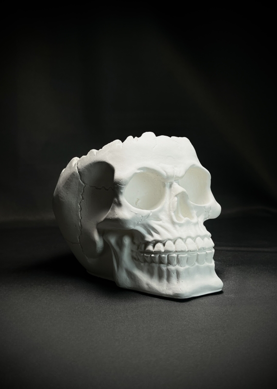 Кашпо Органайзер Череп Кашпо Органайзер Череп