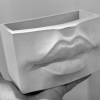 Кашпо Органайзер Женские губы Кашпо Органайзер Женские губы