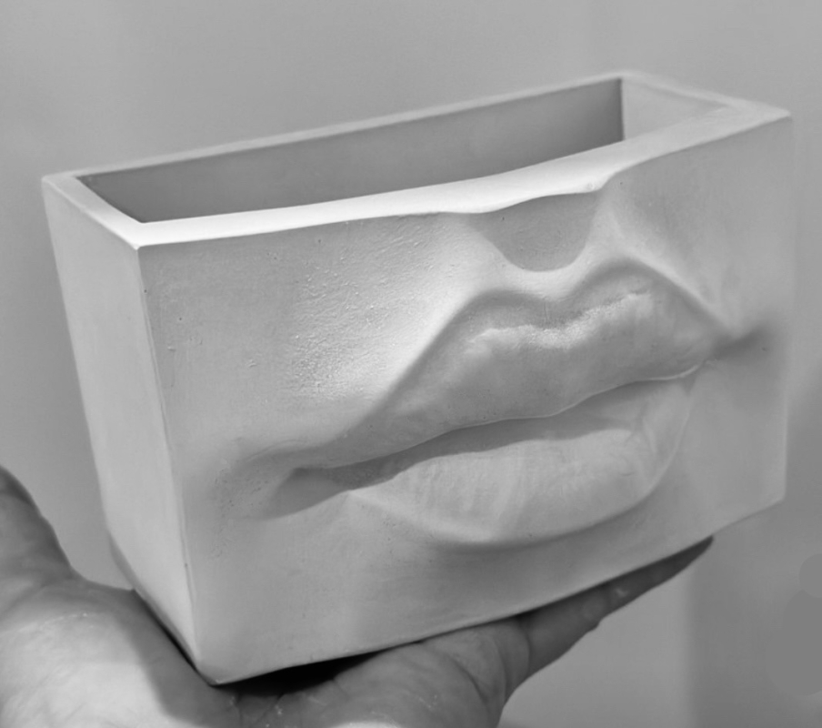 Кашпо Органайзер Женские губы Кашпо Органайзер Женские губы