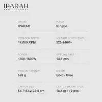 Фен для волос IPARAH P-300G