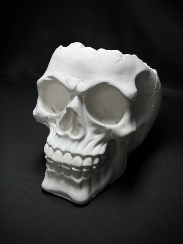 Кашпо Органайзер Череп Кашпо Органайзер Череп