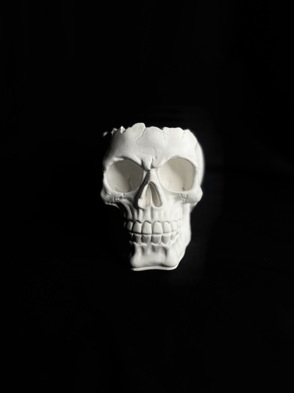 Кашпо Органайзер Череп Кашпо Органайзер Череп