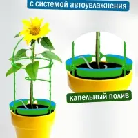 Опора для цветов комнатных с автополивом 46см