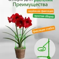 Опора для цветов комнатных 46 см