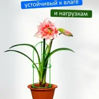 Опора для цветов комнатных и растений 57 см