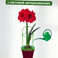 Опора для цветов комнатных с автополивом 46см