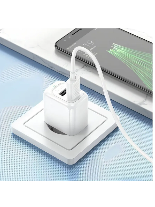 Сетевое зарядное устройство HOCO CS51A с кабелем Type-C