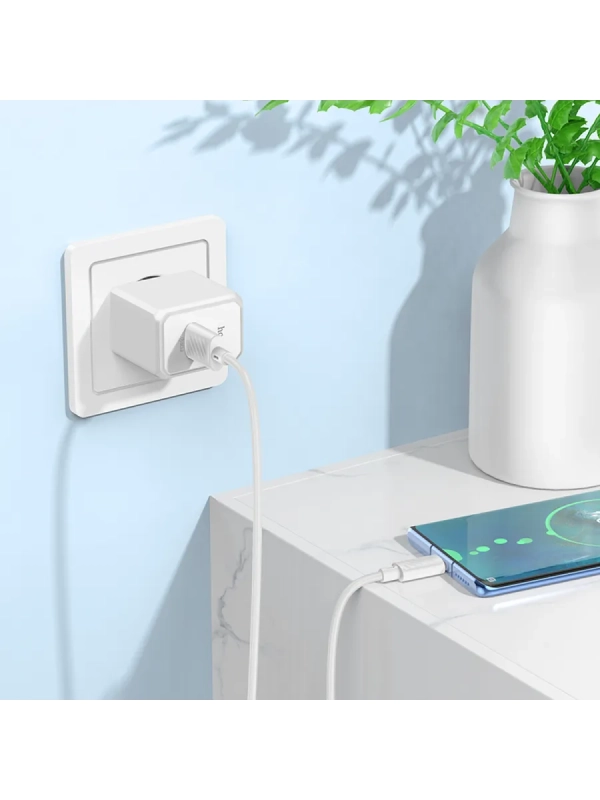 Сетевое зарядное устройство Hoco CS12A + Type-C