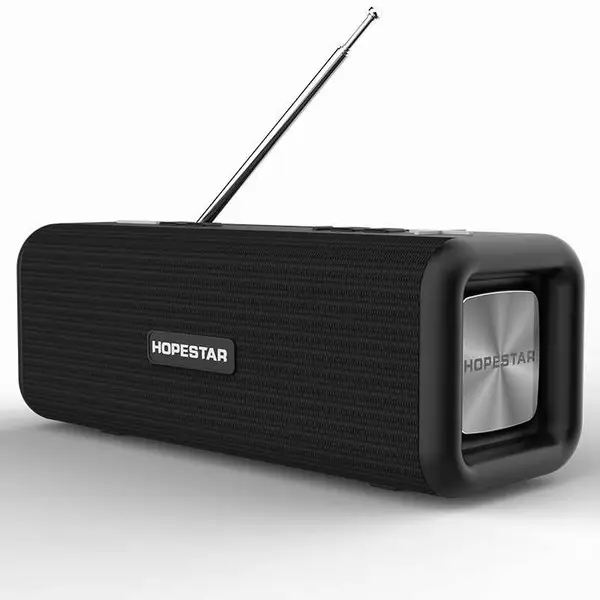 Колонка Hopestar T9